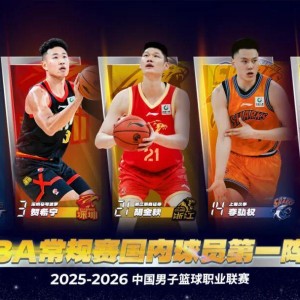 完美体育品牌-最佳阵容荣耀入选，季后赛征程奋勇争先！